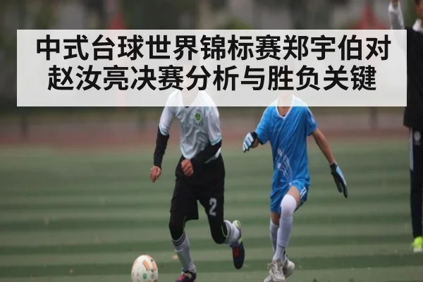 中式台球世界锦标赛郑宇伯对赵汝亮决赛分析与胜负关键